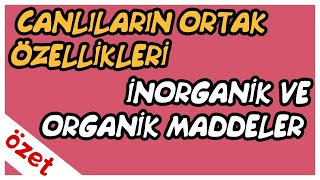 Canlıların Ortak Özellikleri  İnorganik ve Organik Maddeler Özet  TYT Biyoloji [upl. by Estrin]