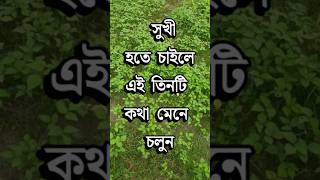 সুখী হতে চাইলে এই ৩ টি কথা মেনে চলুন Motivational Video  Dr APJ Abdul Kalam Speech [upl. by Louise]