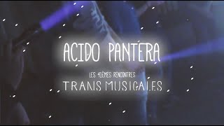 Ácido Pantera  Amornamá Live Session  Trans Musicales de Rennes 2019 [upl. by Tarrant20]