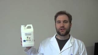 Remove Urine Odors From Your MattressRemove Cat Urine From Mattress [upl. by Kiah]