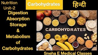 Digestion Absorption Storage amp Metabolism of Carbohydrates in Hindi [upl. by Nitnelav221]