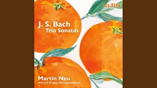 Trio Sonata No 1 in EFlat Major BWV 525 II Adagio [upl. by Bigot]