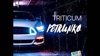 TRITICUM  Petrunko Amice Remix [upl. by Atteinotna207]