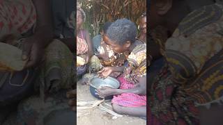 Indigenous life in the BUSHafrica hadzabetribe monkey animals shorts shortsviral shortvideos [upl. by Gail479]