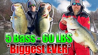 BIGGEST 5 Bass Limit EVER Caught on Film 60 POUNDS [upl. by Susejedairam]