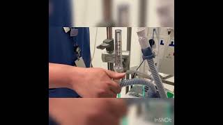 How to set up high flow nasal oxygen using Airvo 2 [upl. by Klement]