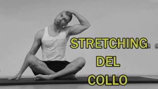 Stretching Parte 13 Cervicali [upl. by Kerby]