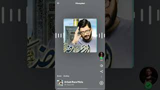 Arbaab Raza Mola  Mir Hasan Mir 8d soundHeadphonenoha manqabat islam8daudioheadphonemusic [upl. by Pellegrini]