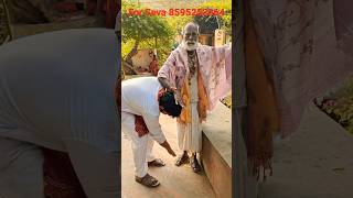 Sant bhagwan ki seva Sri Vrindavan dhamradhakrishnatrendingvlogyoutubeshortsshortvideovrindawa [upl. by Yarak]