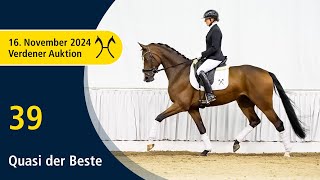 No 39 Quasi der Beste by QSieben  Sancisco  Verden Auction Online  Sporthorses  November 16th [upl. by Tiffie]