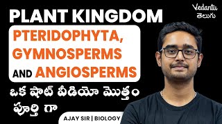 Pteridophyta  Plant Kingdom Class  NEET Plant Kingdom 2023  Ajay Sir  Vedantu NEET Telugu [upl. by Forta]