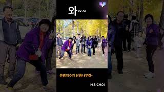 가을 은행나무 문광저수지HS CHOI motivation 가을 [upl. by Telfer]