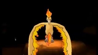 Pokemon XY  Catching Moltres battle and guide [upl. by Damek511]