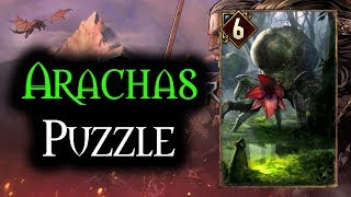 Arachas Puzzle  Thronebreaker The Witcher Tales [upl. by Thelma]