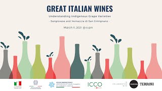 Great Italian Wines Understanding Indigenous Grape VarietiesSangiovese Vernaccia di San Gimignano [upl. by Ibbor283]