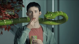 Rocklets Auto Commercial  Talking Animal Snake [upl. by Laurin608]