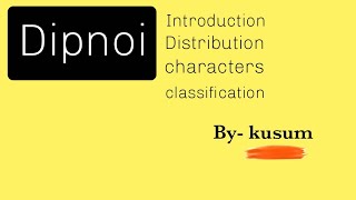 Dipnoi origin Distribution characters classification MSc BScBy kusum science workshop [upl. by Capone]