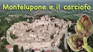 Montelupone e il carciofo [upl. by Yeleak]