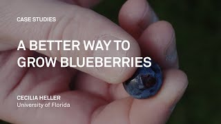 A Better Way to Grow Blueberries  METER [upl. by Kaine]