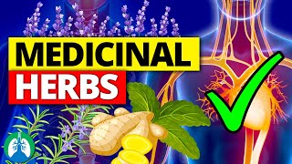 🌱Top 10 Most POWERFUL Medicinal Herbs Backed by Science [upl. by Buffum]