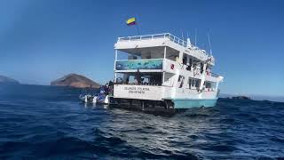 Galapagos Shark Tour 3007  13082024 EN [upl. by Uund]