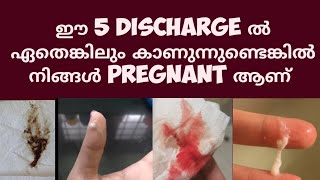 5 Pregnancy Discharge Deechus world Malayalam [upl. by Lanevuj]