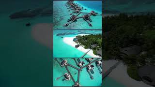 Angsana Velavaru Maldives drone angsana maldives drone arial angsanavelavaru [upl. by Mandal894]