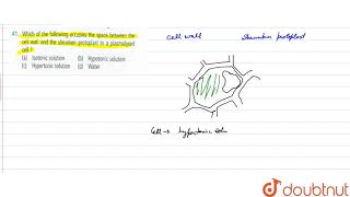 Which of the following occupies the space between the cell wall and the shrunken protoplast in a [upl. by Uahc]