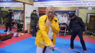 SGM Diony Canete  Doce Pares Seminar in South Korea [upl. by Demahom]