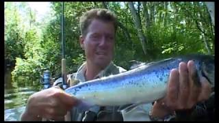 FISH M Catching King Crabs and Atlantic wolffish in Norway Fiskedrag S03E05 [upl. by Fulbright525]