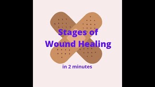 Stages of Wound Healing in 2 mins [upl. by Niabi]