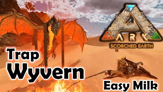 Wyvern Trap Scorched Earth Asa  Wyvern Milk Ark Survival Ascended  Easy Wyvern Trap [upl. by Ozkum]