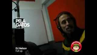 Dj Nelson  Acustico en PelaGatos  Reggae [upl. by Durst652]