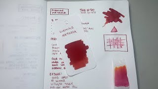 Diamine Matador Fountain Pen Ink Review [upl. by Alleahcim]