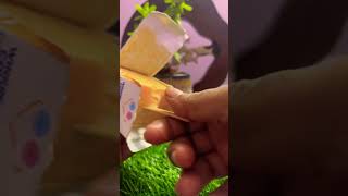 Britannia Winkin Cow lassi popsicle made at home🍦😍icecreamshortsfeedyummyviralshortsyoutube [upl. by Josh]