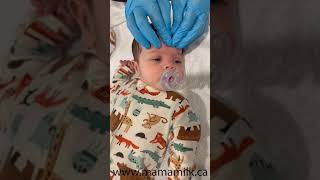 craniosacral therapy on baby [upl. by Alyn]