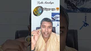 Tiger eye stone Details  Tiger eye rohitastrologer astrology astrrologer horoscope [upl. by Ecirtaed]