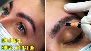 Follow along Brow Lamination tutorial for all eyebrow types Pro Pencil [upl. by Burton]