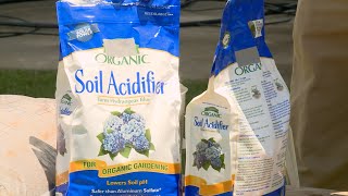 What is and how to use Lime and Garden Sulfur [upl. by Kitti]