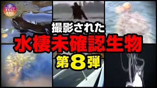 【映像】撮影された水棲未確認生物 第8弾 [upl. by Nilyac82]