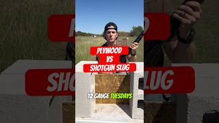 How many pieces of OSB does it take to stop a shotgun slug [upl. by Doelling]