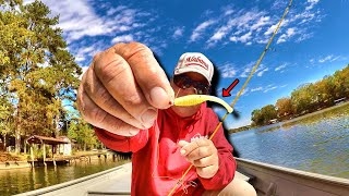 THIS Jig DOMINATES Crappie Fishing In The Fall [upl. by Malka]