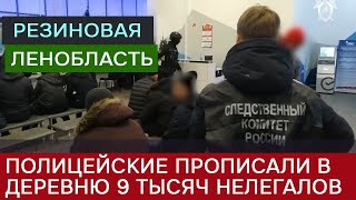 Полицейские прописали в одной из деревень 9 тысяч мигрантовнелегалов [upl. by Adah594]