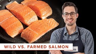 The Scientific Difference Between Cooking Wild and Farmed Salmon [upl. by Pfeifer]