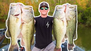 RECORD DAY OF BASS FISHING UNBELIEVABLE [upl. by Zetneuq]