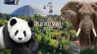 Zoo de beauval [upl. by Aschim]