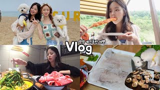 먹방vlog 짧고 굵게 1박2일 양양 술먹방여행 가즈아😎  등촌샤브샤브주문진수산시장휴게소먹방서피비치바베큐마트장만취ㅋㅋ [upl. by Sacul]