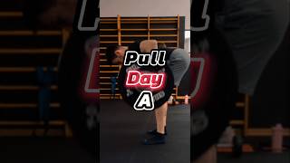 Lasciati Ispirare dalla mia Split Push Pull Legs su 6 sessioni di allenamento Pull Day A 26 [upl. by Blank]