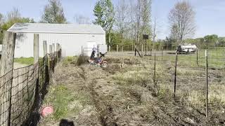 Tilling Up Garden With CRF110 [upl. by Goody272]