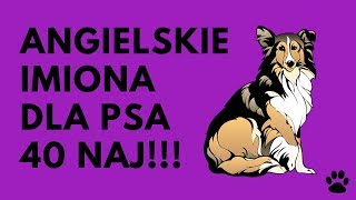 Angielskie Imiona Dla Psa  40 ŚWIETNYCH Imion  Imionowo [upl. by Madid]